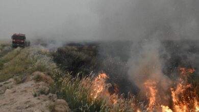 IMG 20220523 223311 882