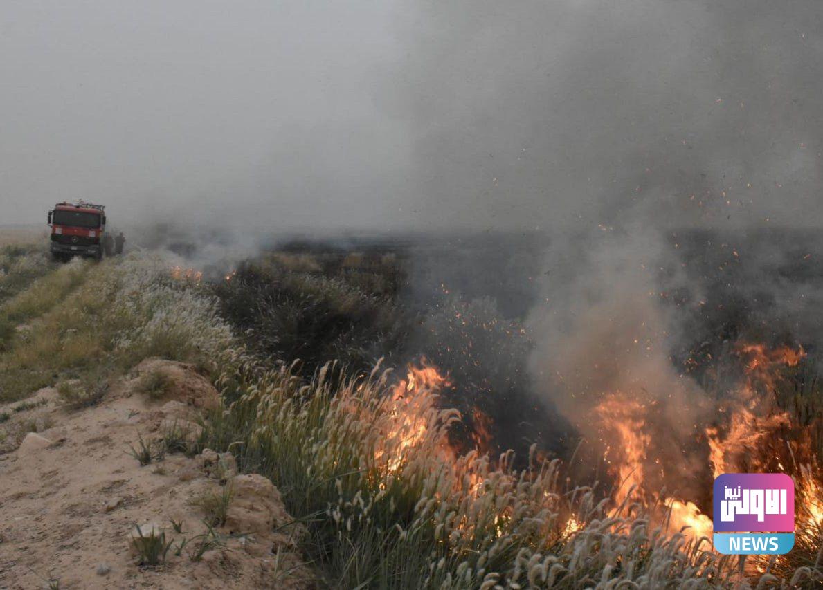 استشهاد 6 مزارعين بإطلاق نار من قبل داعش في كركوك 1 IMG 20220523 223311 882