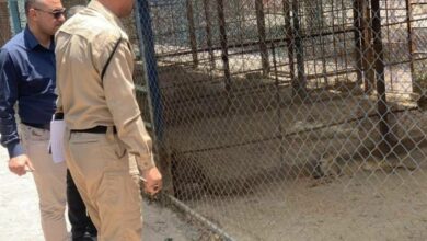 بيئة ميسان: إجراءات احترازية لمواجهة جدري القردة 3 IMG 20220529 221550 223