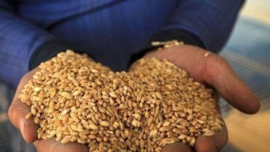 IMG 20220529 223207 728