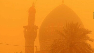 IMG 20220530 173412 911