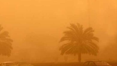 IMG ٢٠٢٢٠٥٠٤ ١٣٤٥٠٤