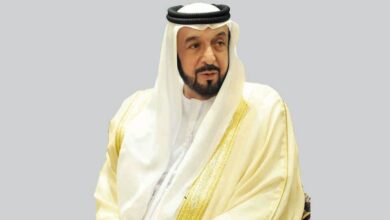 فنانون ومثقفون مصريون ينعون الشيخ خليفة بن زايد 6 cb87a370 a06a 41b5 a26e 582edeab8e08