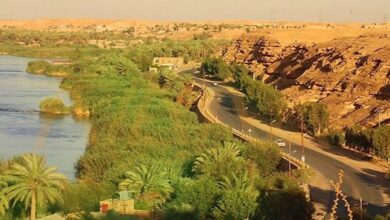 upload 1651862739 1793632629 1