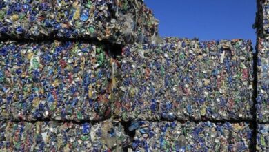 upload 1652005405 1288384984