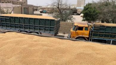 upload 1652023364 890454031