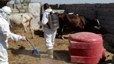 upload 1652176923 1551317712