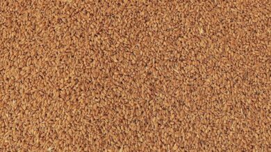 upload 1652445945 189660121