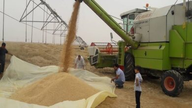 upload 1652454067 2096613198