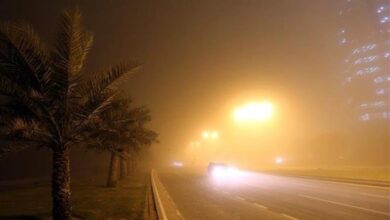 upload 1652461164 566494312