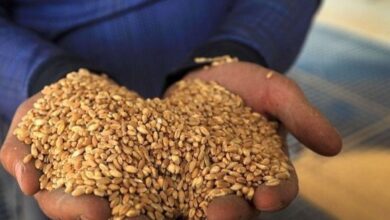 upload 1652471554 150417754