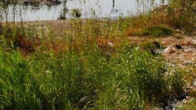 upload 1652554612 449369821