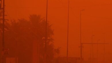 upload 1652678129 548725729