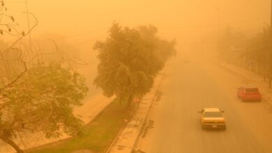 upload 1652679389 2145337733.jpeg