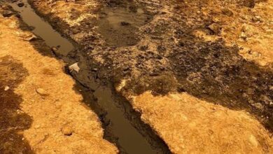 upload 1652715762 843974413