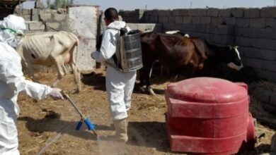 upload 1652717585 827179570