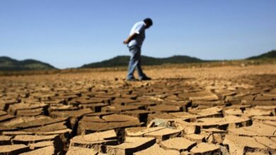 upload 1652721074 221219023