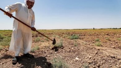 upload 1652725863 1861614278