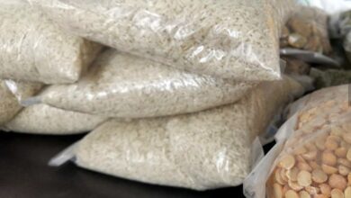 upload 1653065846 1183352784