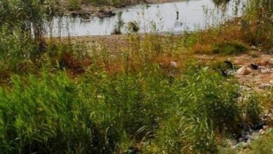 upload 1653314883 1666407660