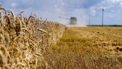 upload 1653317581 70552827