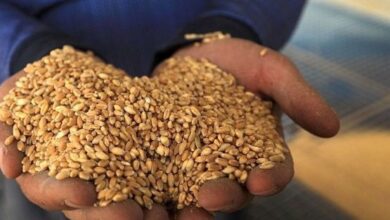 upload 1653324426 1165913470