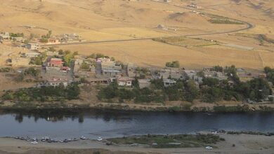 upload 1653324726 268423806