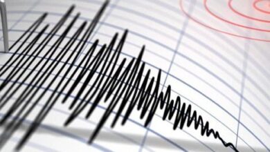 upload 1653628598 1156549382