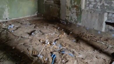 upload 1653628809 286905227