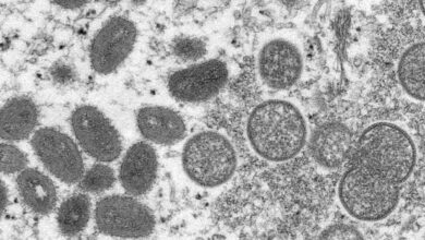 upload 1653629692 346556930