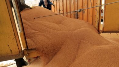 upload 1653632079 1102927419