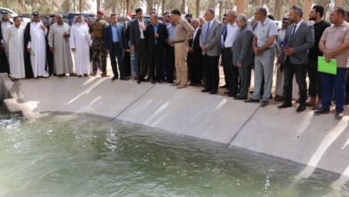 upload 1653903730 1016181947