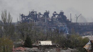 upload 1653976091 1725514231.jpeg