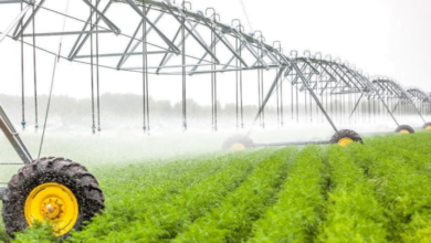 upload 1654016861 988305353