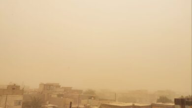 ٢٠٢٢٠٥٠٧ ٠٩٠٠٢٦