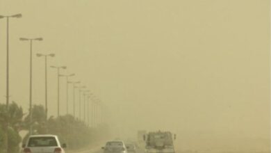 طقس العراق.. تصاعد للغبار وارتفاع في درجات الحرارة 4 0001F86B BC67 45A0 BC46 AF7720D47C2C