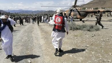 01600921 6856 46B9 B31A 9353051E69BF