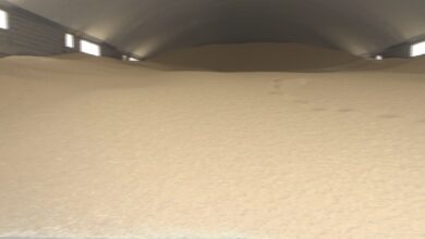 017CD4B8 E8FE 4B4D A401 0549ADE301F0