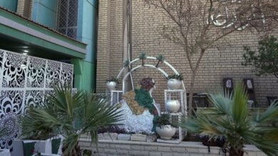 03C846C2 969B 4D42 9EAE 092FBBBE22EF