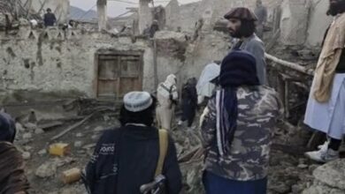 05BB75DC C5D4 43E6 9A90 7840166675FF