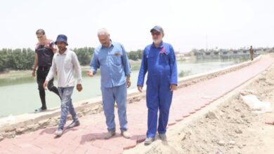 078E65B9 D3FB 4D56 A79C 76D53BF7FB53