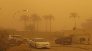 0F0CF2F6 A569 4ADF 9462 FA9C2C510850