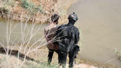 10C28CB6 48D6 4E06 8CCB EB4BA5AD3882