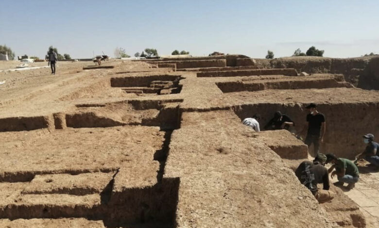 169E2ACB FE3B 4E92 9F60 4D383BFC4B0D