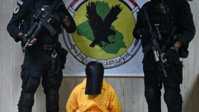 192AFEDE 1EAD 4D10 A183 BB1E920B82B4