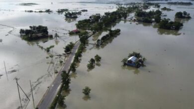 1B4A24DA AAC6 4A34 B330 16AA711A7F4D