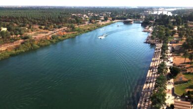 1bedafdc0d8c9f286c1b9350a8bed314