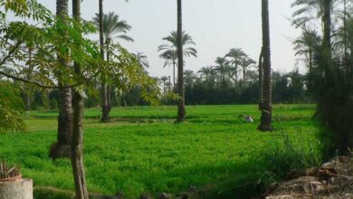 2019 12 16 16 24 11 955