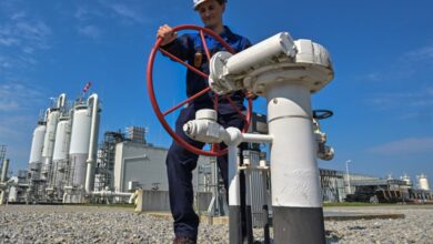 20225921340515637877270205157179