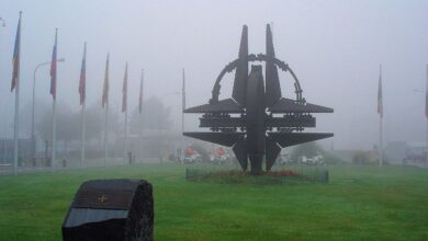 26DAF5C5 9E09 43ED 83E3 3E026B7CCECE